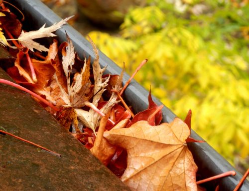 Fall Roof Maintenance Tips