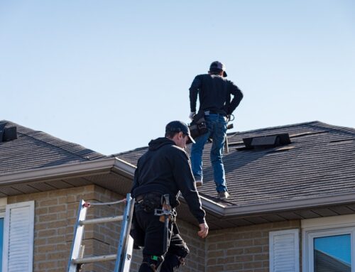 Ensuring Safety and Quality: The Importance of Professional Roof Inspection Services