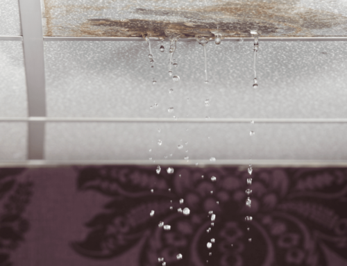 Recognizing the Signs of Roof Leaks: What to Look For in Your Home